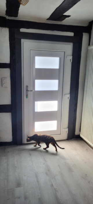 Remplacement de fenêtres, porte d'entrée, portes intérieures et volets roulants